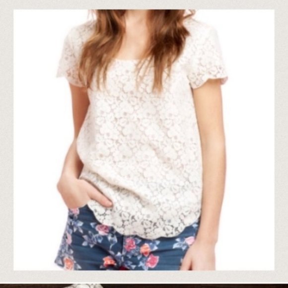 Aritzia Talula Betsy Lace Short Sleeve Top | Ivory - Picture 2 of 4